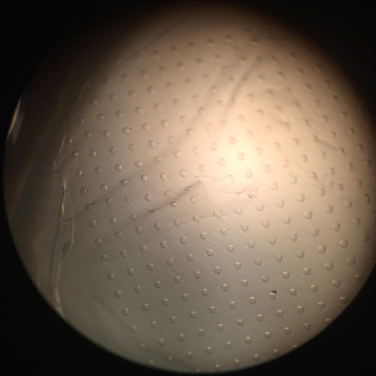 VargisLab's tweet image. image of the week: Farhad created a PDMS stencil. #PDMS #micropattern #AMD #ROP #KTEF #ORAU