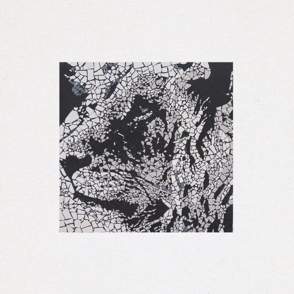 LLPrintDesign's tweet photo. @MarkKennedyMcr #Cecil #BornFreeFoundation #CecilTheLion http://t.co/Fbcx60jusP