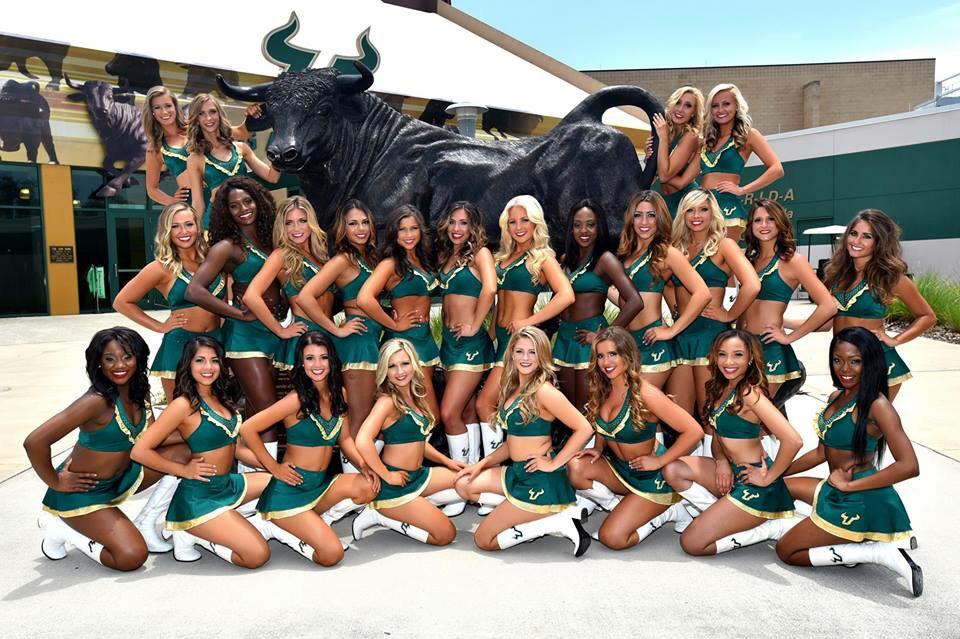 USF SunDolls on Twitter "Our official 20152016 Team Photo!💚 We are so