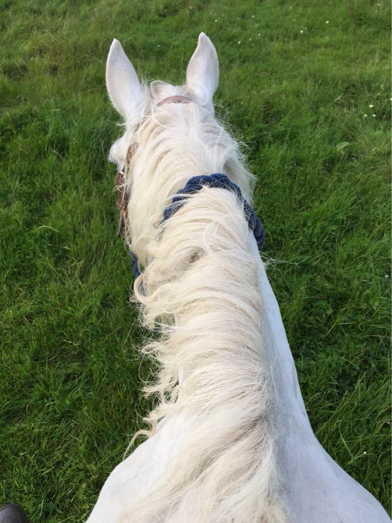 duskymooncb's tweet image. In his 30's and loving it!!