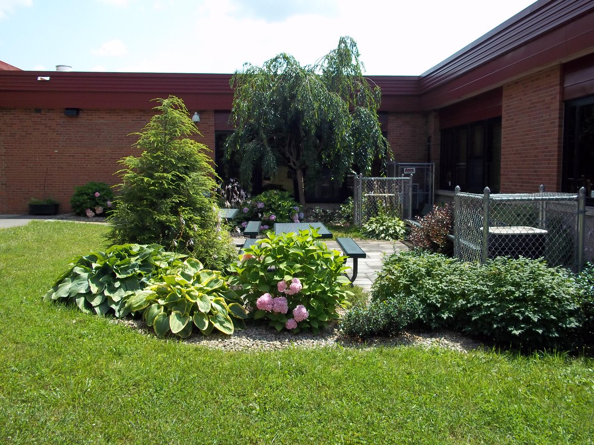 OCSWheeler's tweet photo. Thank you Mrs. Guptill for getting the Wheeler Literacy Garden ready for the students! http://t.co/zJAjFfWNzR