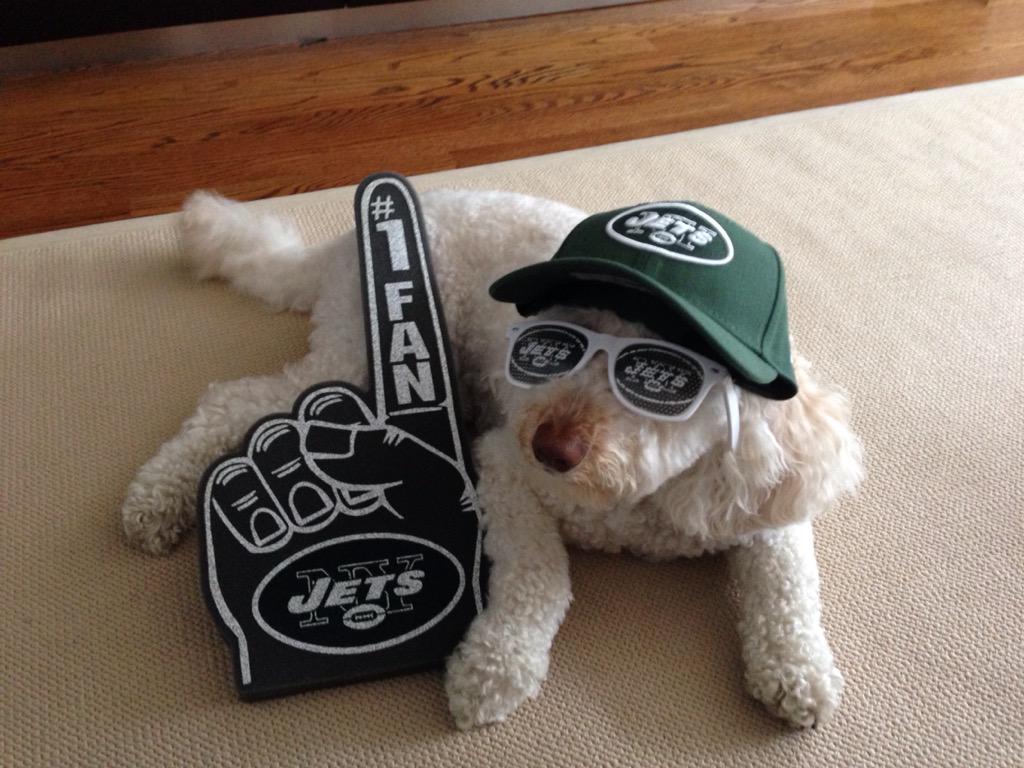 Espngreeny's tweet photo. Hey @StacyGSG! Two can play at that game. #Phoebe @nyjets http://t.co/ApWMniXbvf