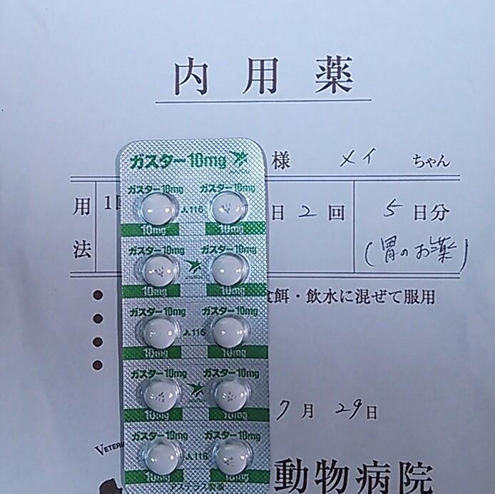 ラッシャー 29日 愛犬のメイを動物病院に連れていったらフィラリアの薬と 初めて胃薬が出たんだけどさ これガスター10だよね明らかに Wアステラス製薬って書いてあるし 犬も人間も胃薬同じなんだねw おやすみなさい D Http T Co C8oorfofqs