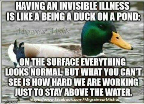 ShazyType1's tweet image. 