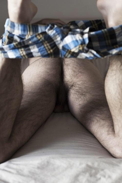UnSusano's tweet photo. "@_cockring: #sexywolvesthursday #furryhunk #BeardsNTatts #HairyHole http://t.co/GcyKZRXywA"
