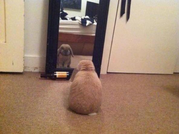 StumblerTop's tweet photo. Youre beautiful and ur gonna do great today http://t.co/0G1m6QIRwF