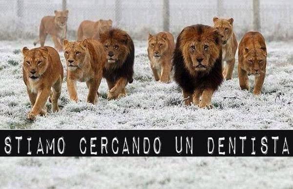 EttaMaggio tweet picture