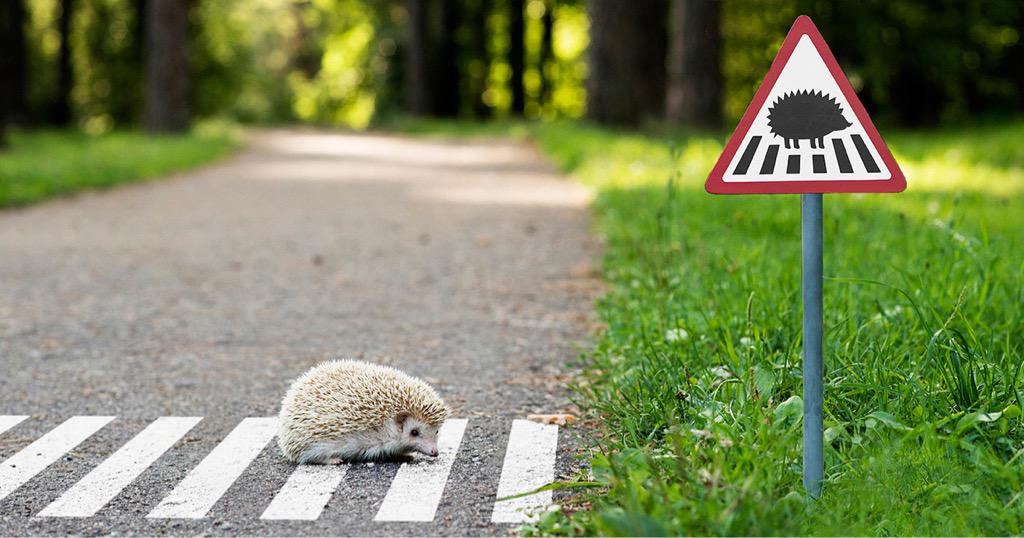xlv_music's tweet photo. Tiny road signs in Lithuania 😃

Protect wildlife

#nature #hedgehog #tinyroadsigns http://t.co/ykbcmWWWhV