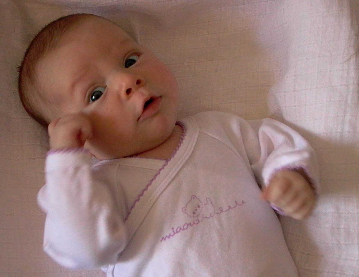 citynewscalgary's tweet photo. Video: Guidelines for when to introduce solid food to babies http://t.co/HaCVd3iVVK http://t.co/QRYepihw1B