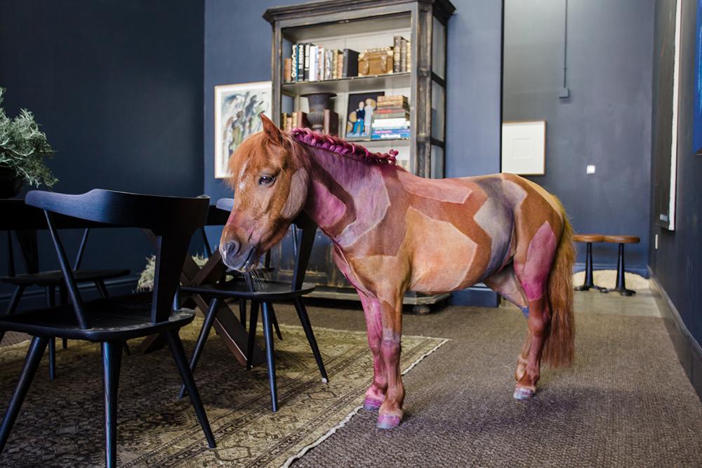 NEW BLOG POST: "A Painted Horse by Joe Sola at TIF SIGFRIDS (Installation Shots)" - Link: bit.ly/1gqOzhN -