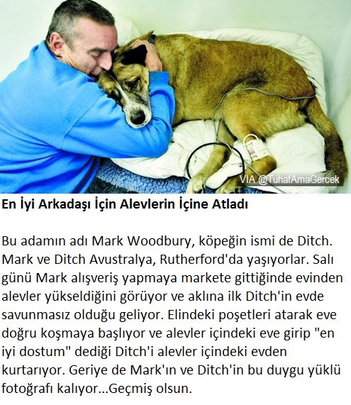 Birbirini Çok Seven 2 Arkadaşın Duygu Yüklü Hikayesi

#DünyaArkadaşlıkGünü