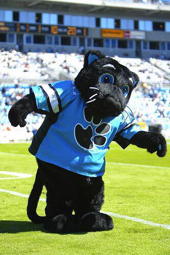 BracketBattles1's tweet photo. Greatest Mascot of All Time
• ELITE 8 •

RT ~ Sir Purr
Fav ~ Brutus Buckeye http://t.co/IMyT8y2Iys