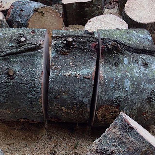 BuxtonsLimited's tweet photo. Tag a mate who can't cut straight! #arboristproblems :D Credit: Active Tree Services http://t.co/msPKQtQni7