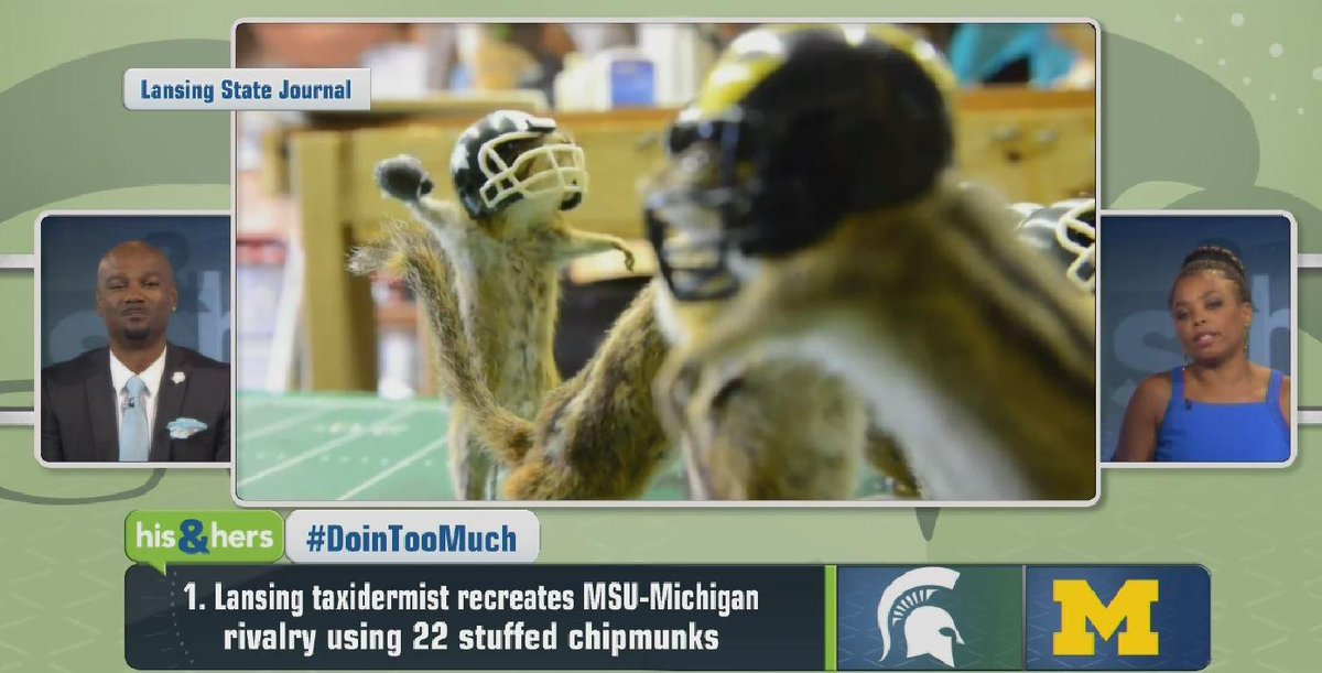 HisAndHers's tweet photo. True story: MSU-Michigan rivalry recreated by 22 stuffed chipmunks…
#DoinTooMuch http://t.co/8hSreqIKQx