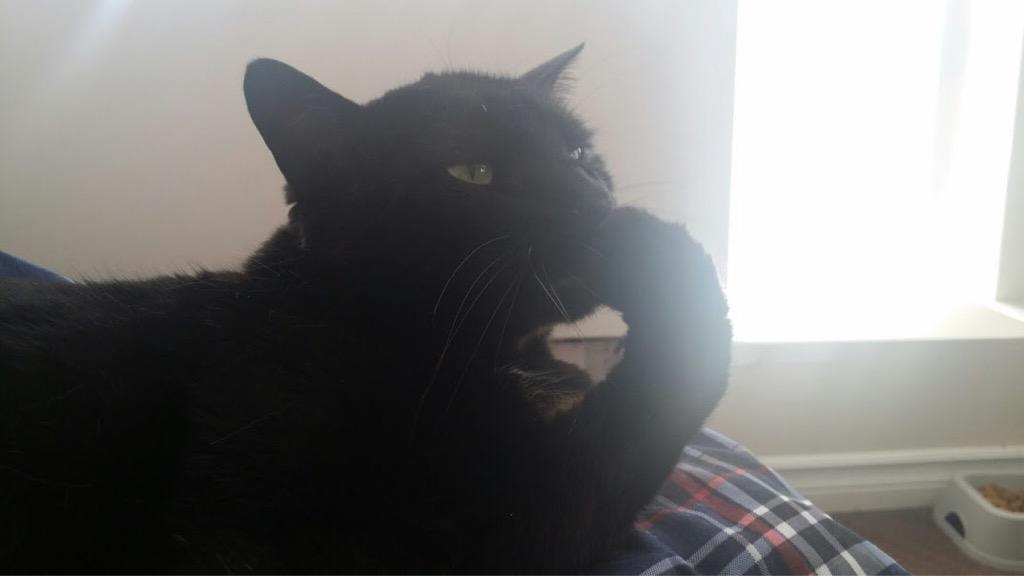 cat_reactions's tweet photo. "I'll ring you back in 10 minutes"

3 hours later still no call http://t.co/gSR7VZBG8q