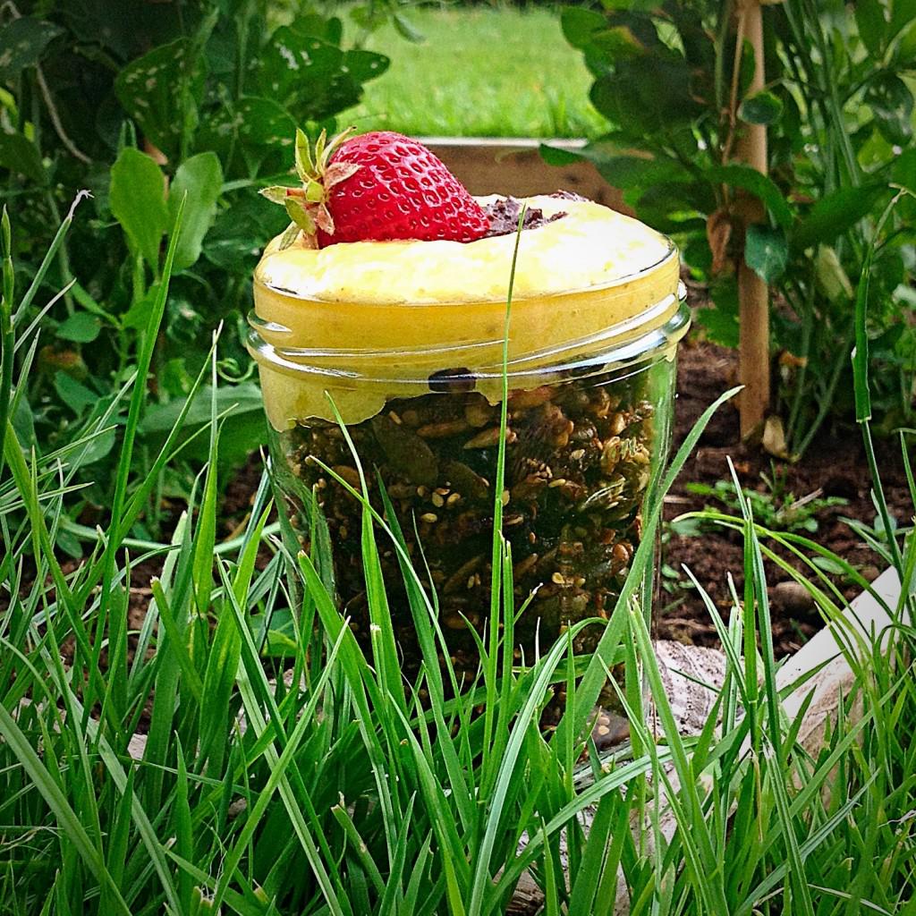 #Recipe for Frank* #nutfree #glutenfree #granola #pudding
bit.ly/Frgranolapud
Frank*
#honestenergy