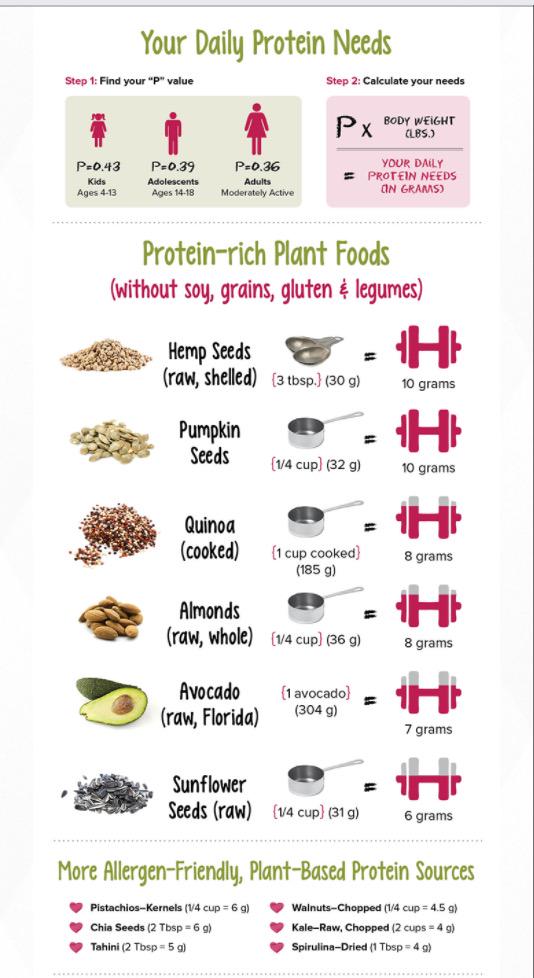 foreverwellnow's tweet image. Handy Dandy Protein - Rich Plant Foods Chart  #plantprotein  #healthychart #protein