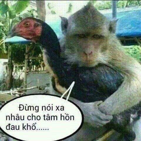 Suýt thì yêu (@suytthi) on Twitter photo 