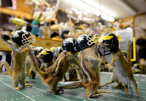 VICESports's tweet photo. One Man's Heroic Quest to Recreate Storied Rivalry Using Dead Chipmunks. http://t.co/SjNEOYUjM9 http://t.co/BBhBlCAtAL