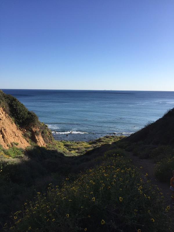 FlamanthaBlog's tweet image. A peaceful moment in your Twitter feed brought to you by flamantha.com