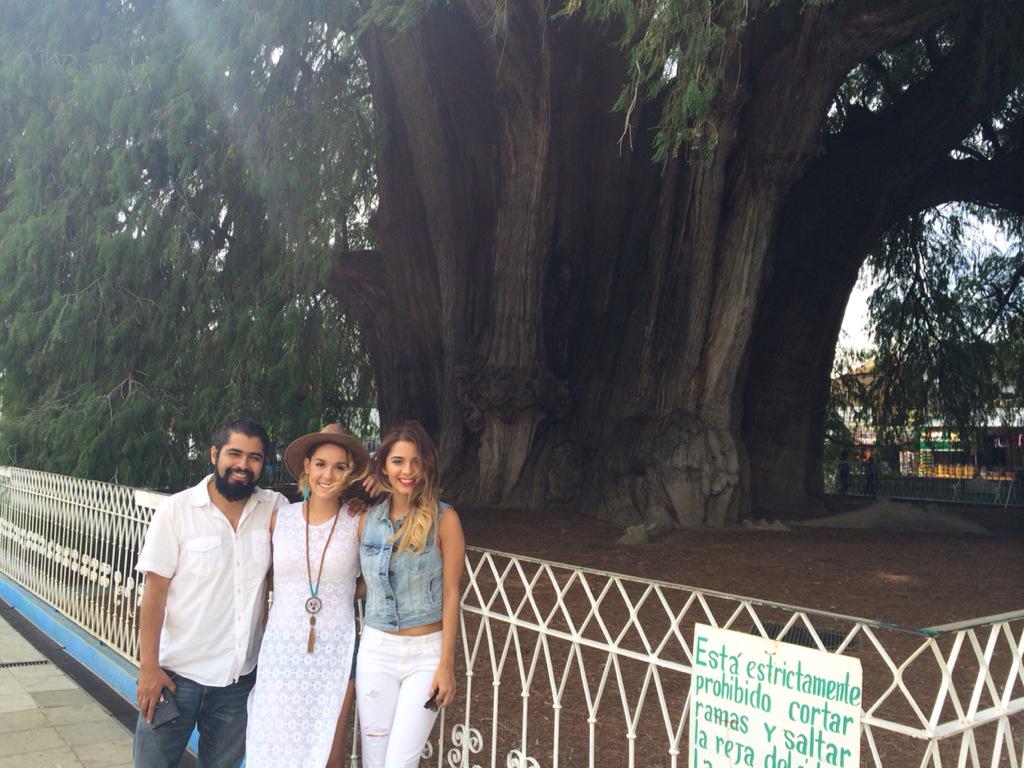 ShankiMusic's tweet photo. En el árbol de tule, Oaxaca!!! 🌳❤️
https://t.co/SgdP0DbHpN http://t.co/ganAmYVyJS