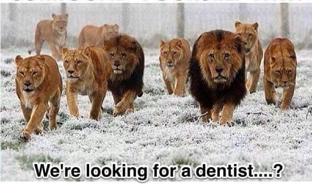 me_not_animal's tweet photo. Hope they find him...m http://t.co/4iTsbuXcwJ