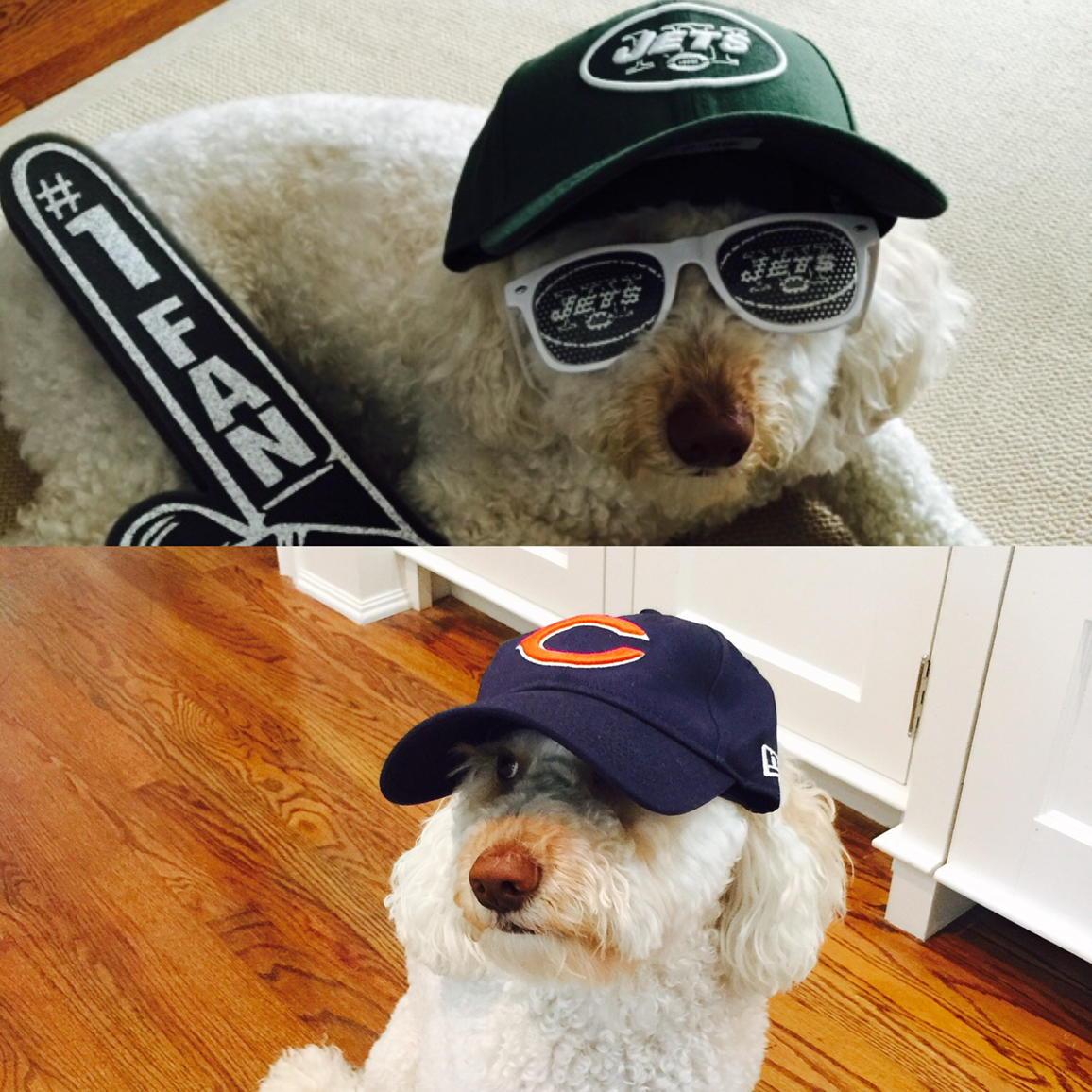 StacyGSGreenberg (@stacygsg) on Twitter photo We are a house divided.
FAV for <a href="/ChicagoBears/">Chicago Bears</a>
RT for <a href="/nyjets/">New York Jets</a>
#Phoebe <a href="/Espngreeny/">Mike Greenberg</a> We are a house divided.
FAV for <a href="/ChicagoBears/">Chicago Bears</a>
RT for <a href="/nyjets/">New York Jets</a>
#Phoebe <a href="/Espngreeny/">Mike Greenberg</a>