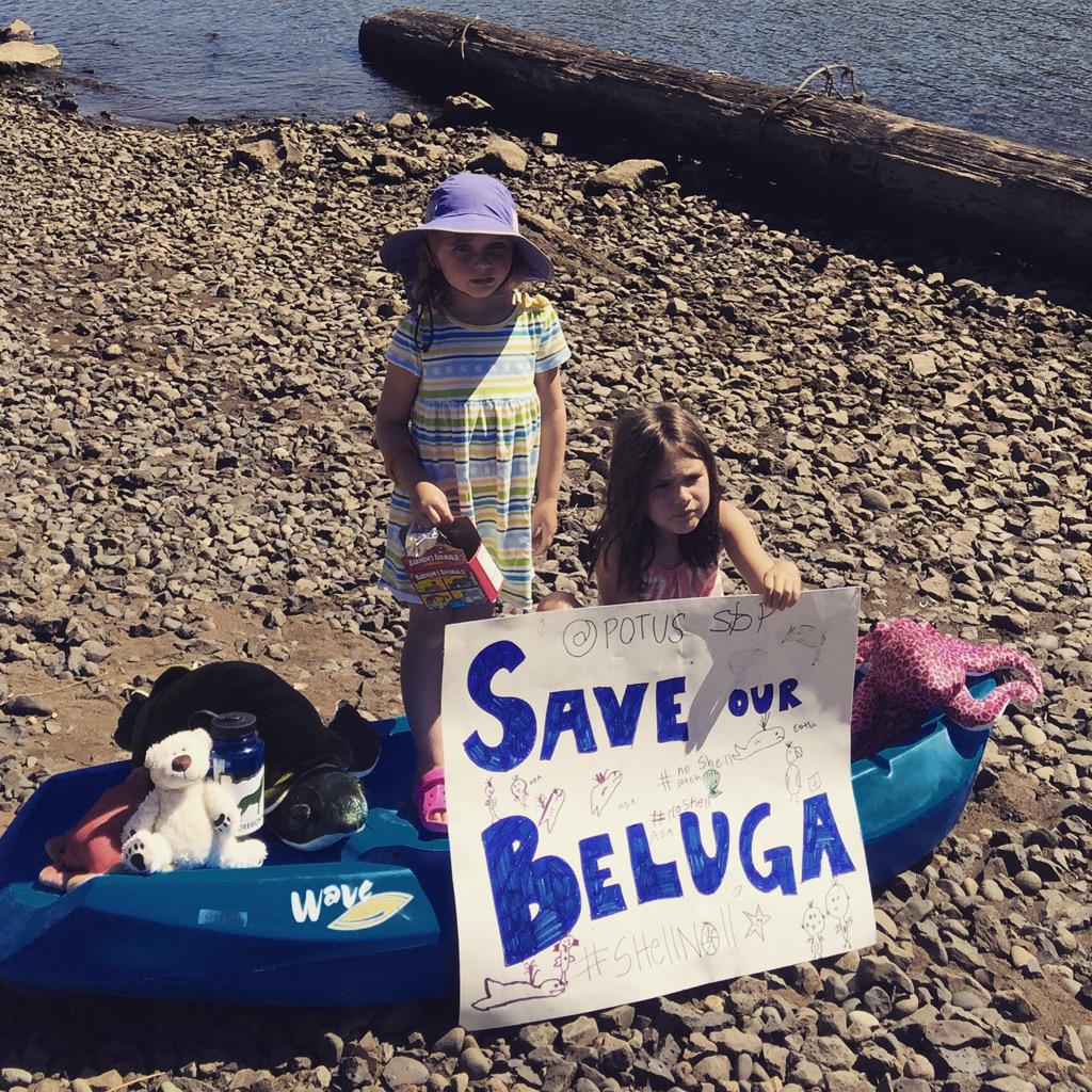 daniellegrabiel's tweet image. The belugas and other Arctic wildlife deserve better than an oily future. #ShellNoPDX #kayaktivistsintraining