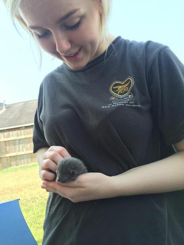 YouGoMicoco's tweet image. @MattyBoyHeyer Matt's stray had four precious kittens 😻