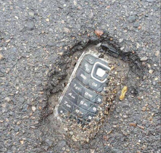 RyanAbe's tweet photo. look it's a rare fossil! http://t.co/OB41dBGw9C
