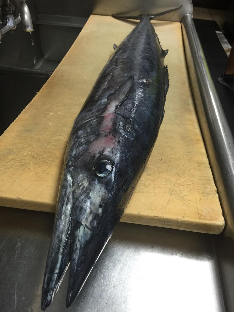 Chef__Bee's tweet photo. Go Fish ; Go Fresh #SupportLocalFisherman ☔️@AileenVanPelt @PaulLeitnerWise @CesarRemond @ergagit @vanessavy http://t.co/i9qq1GW8Px