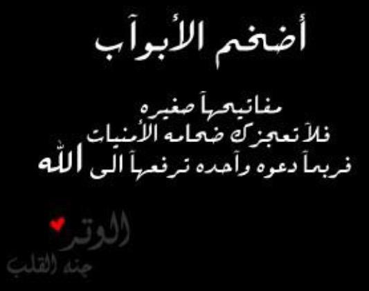 #الوتر_جنة_القلوب
#الدعاء
#ليلة_الجمعة