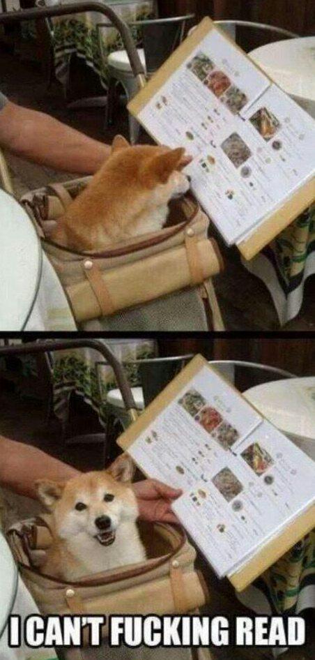 SpeakComedy's tweet photo. I laughed way harder than I should have http://t.co/Oz16VGmPLi