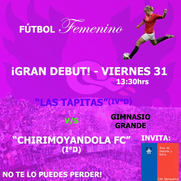 caa_manquehue's tweet photo. ¡IMPERDIBLE DEBUT DE LA COPA FEMENINA DE FÚTBOL!
#LasMujeresTambienJuegan http://t.co/SjMC3BkIZ1