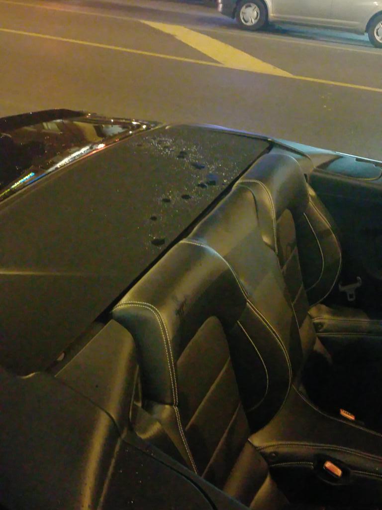 drunews's tweet photo. @311Toronto allover the back seat, is that really necessary? ? #wtf #danforth http://t.co/wGpjmFciL7