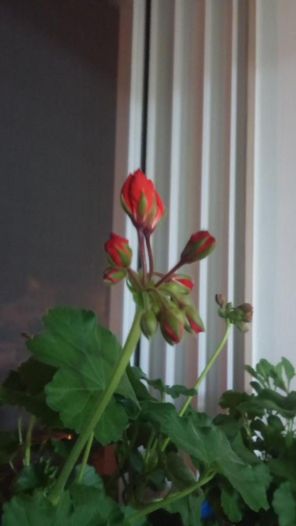 꼬마천사 (@home10591) on Twitter photo 