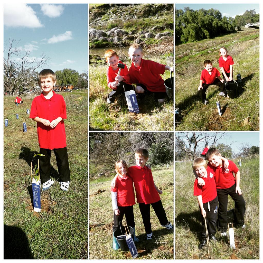 epsom_p34's tweet photo. #nationaltreeday #happytreeplanting @LandcareAust @epsomps @12_stonetuohey @TaradalePS @kps_room11 @ssinspire http://t.co/MRXWjweKUC