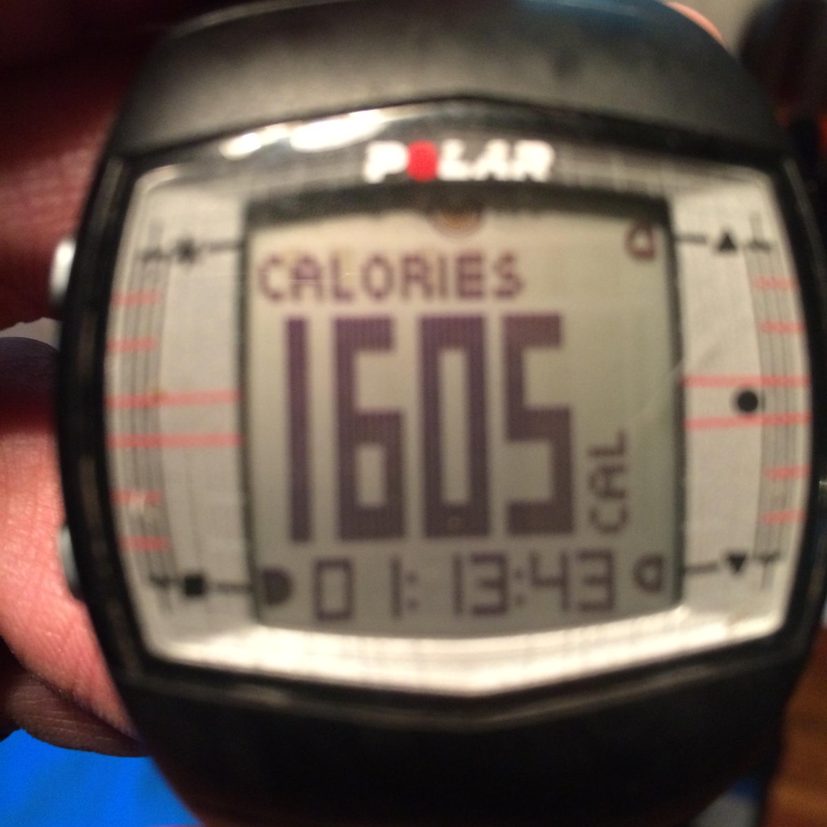Metabocat1's tweet photo. Well, I had the time AND the gumption today, so here you go ladies &amp; gentlemen...Metabolic Catapulting ;-) http://t.co/4jRspDfBxE
