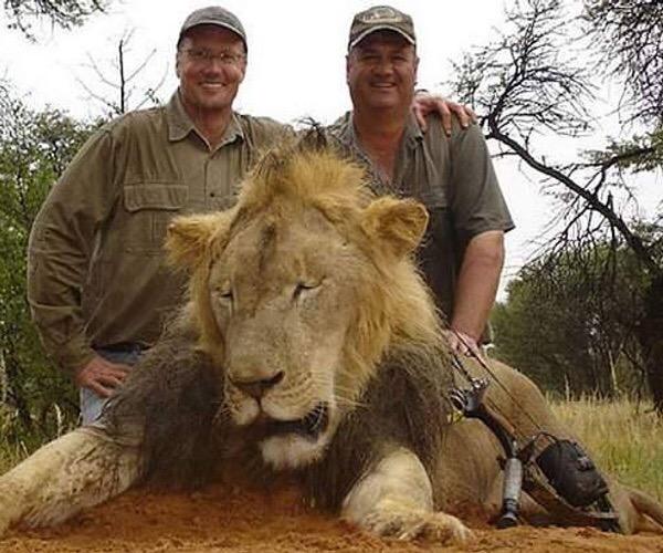 SavvyElfstrom_'s tweet photo. It is barbaric
It is wrong
It is sick
It is inhumane
It is pathetic
It is savage
IT IS WRONG🚫
#BanTrophyHunting http://t.co/r7L3EozB2X