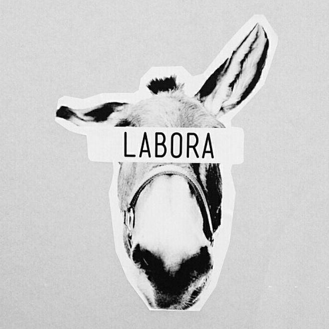 LABORA ラボラ tweet media