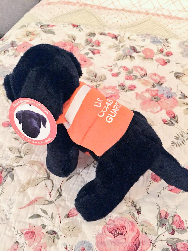 DianeNeal's tweet photo. Of all the things I was given, Onyx the @USCG dog is the best. Well that and... http://t.co/ACd6Ca2zWq