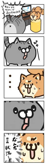 気が付けばフォロワー2000突破。記念お絵かき。
フォロー&応援本当にありがとうございます(^ω^)
ちなみにこのお絵かきにオチも意味もありません(笑) 