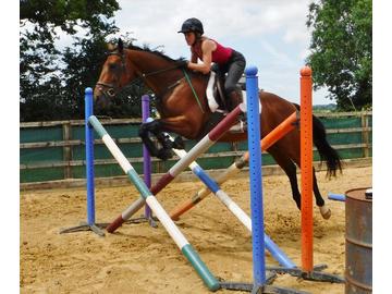 ukequestriancom's tweet photo. Stunning Dressage /Event/ Allrounder/Hunter - http://t.co/2dpUzNulip http://t.co/VfNc7mryFB