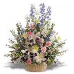 shopping_stores's tweet photo. The #flowers are the best thing to give at any occasion...@ http://t.co/0pgrh9G2oV http://t.co/ew5eBriMUU