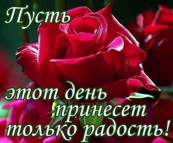 elena_052's tweet photo. @Sleptsova_S Света, с Днем Рождения!!! Здоровья, Успехов! http://t.co/b5xd0PVxCj