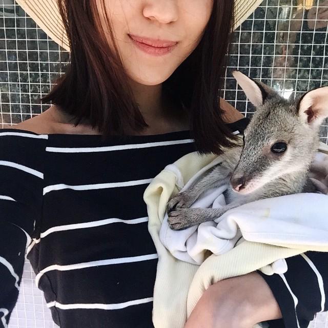NT_Australia's tweet photo. The wallabies at #TopDidj love a cuddle & know how to show off their best side! Pic: @melissackoh #NTaustralia http://t.co/JERj7v2PSa