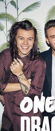 Larry_Updates28's tweet photo. Fandom: DRAG ME DOWN IS OUT! Me: LOUIS AND HARRY SHARING CLOTHES! WHAT IS AIR! #DragMeDowm #MTVHottest One Direction http://t.co/mLKbeNNArW