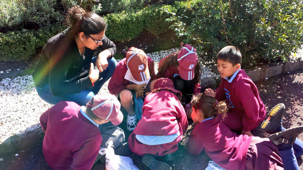 Mrs_Taing's tweet photo. Working in #groups to #discuss what they observed. #auburngardens #venndiagram #charts #alphaboxes #senses http://t.co/kJOZnsVXQt