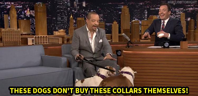 The Tonight Show tweet media