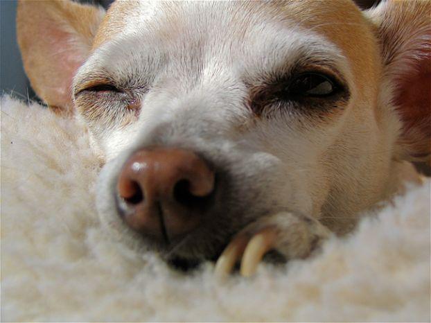 zPicture's tweet image. 